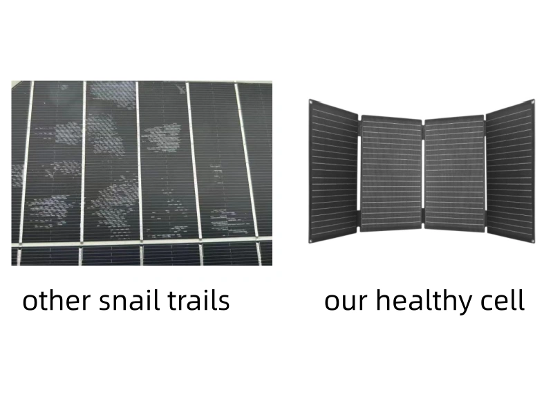 Close-up comparison of solar panel snail trails and surface browning due to moisture ingress.